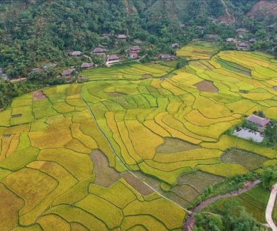 Trường THCS Nghĩa Đô